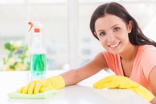 Pet stain odour removal service for Bermondsey carpets and flooring