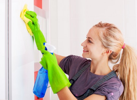 Carpet cleaning appointment terms and service conditions