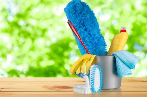 Professional carpet cleaning service in a Bermondsey home