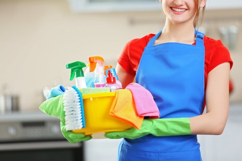 Professional curtain cleaning service for Bermondsey homes and flats