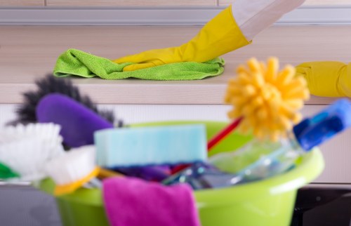 Regular cleaning service in Bermondsey for homes and flats