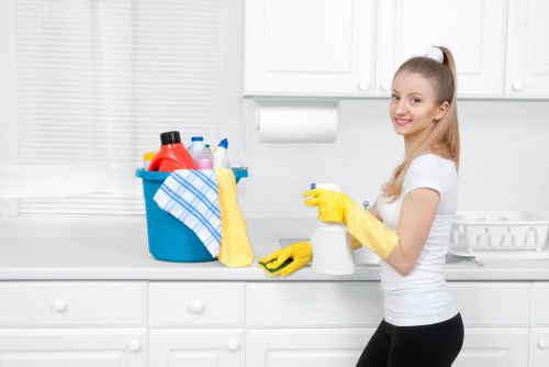 Bermondsey Carpet Cleaners website cookie policy introduction