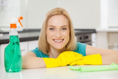 Oven cleaning appointment preparation in Bermondsey