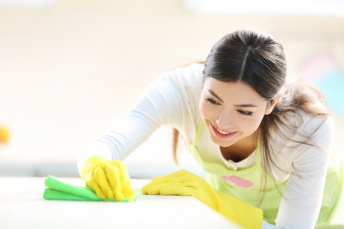 Carpet cleaning team applying safe work practices in a property