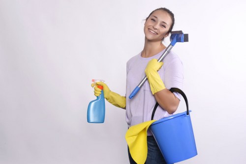 Bermondsey carpet cleaning specialists restoring freshness to a living space