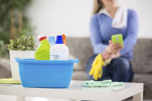 Local stain removal service for sofas, chairs, and rugs