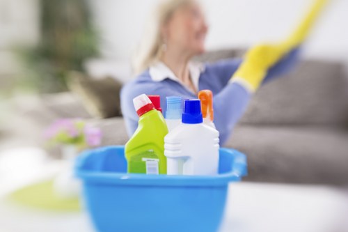 Professional pet stain treatment for Bermondsey commercial and residential spaces