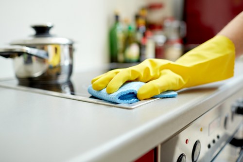 Deep cleaning a greasy oven door and interior in Bermondsey